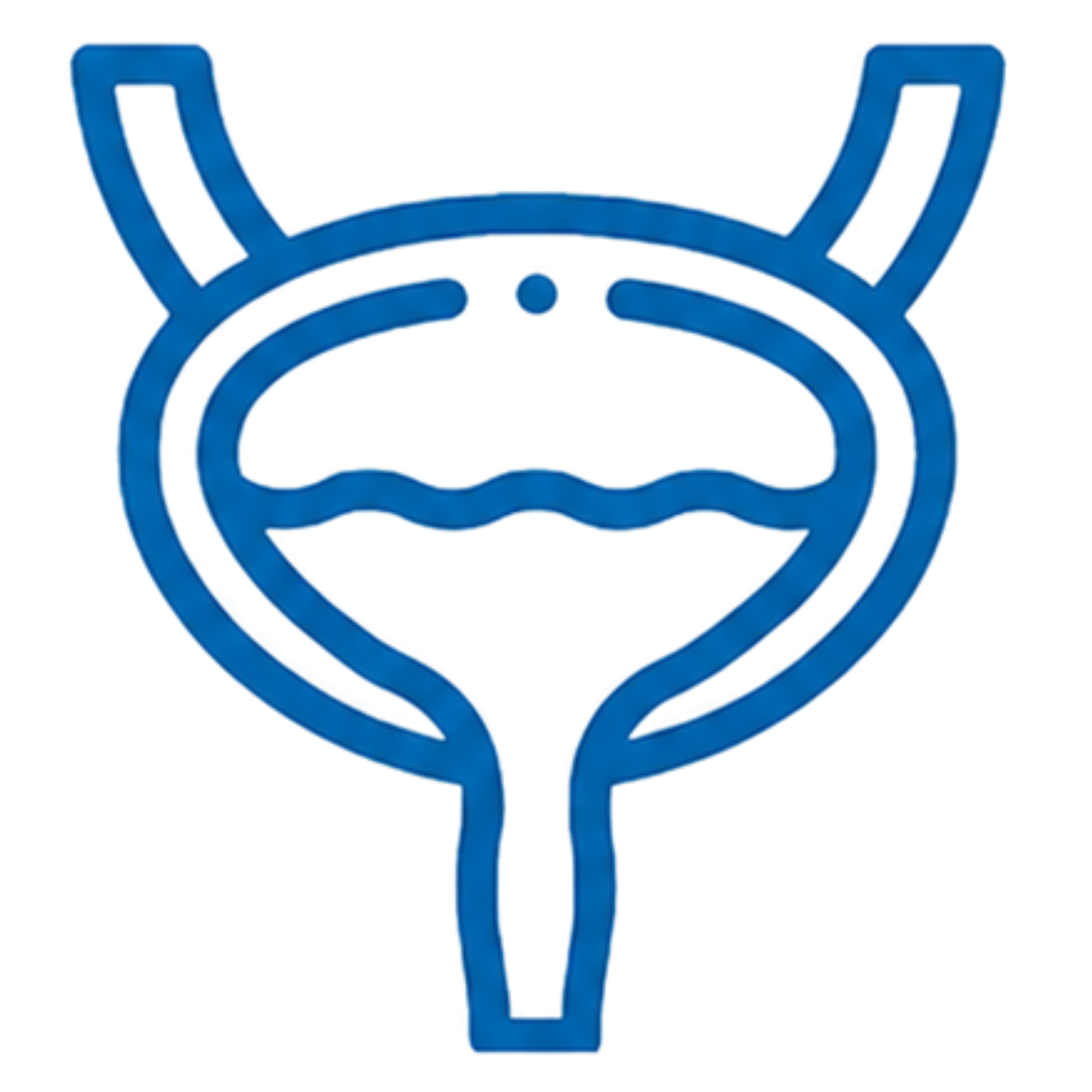 Stress Incontinence